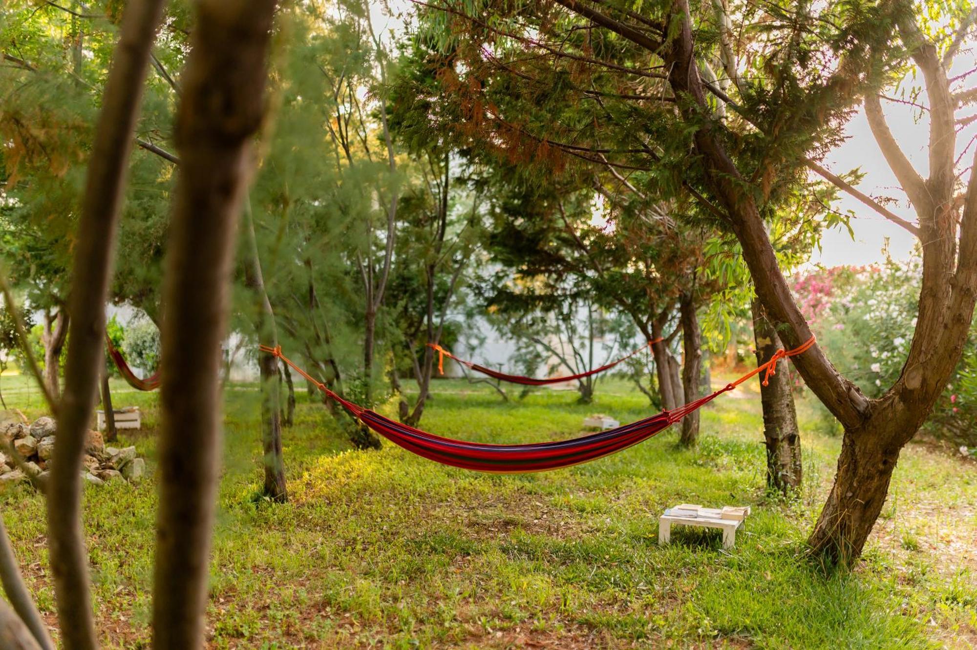 ספקיולה Torre Guaceto Greenblu Resort מראה חיצוני תמונה